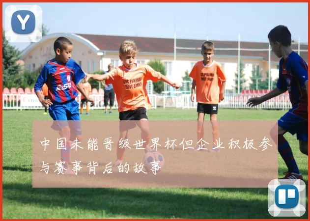 中国未能晋级世界杯但企业积极参与赛事背后的故事