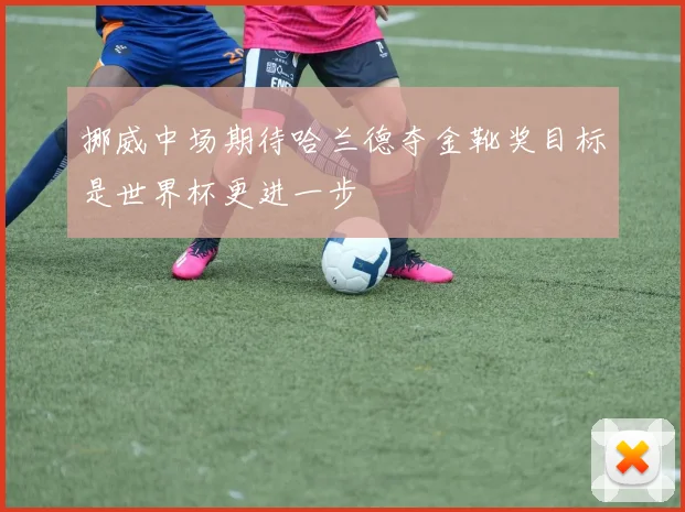 挪威中场期待哈兰德夺金靴奖目标是世界杯更进一步
