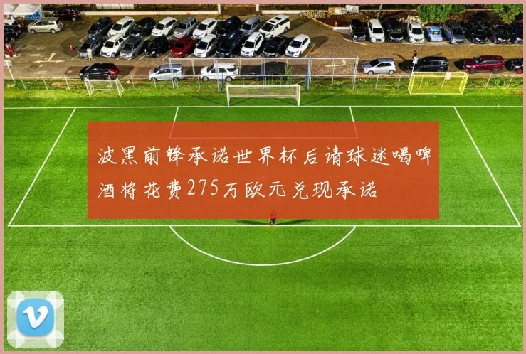 波黑前锋承诺世界杯后请球迷喝啤酒将花费275万欧元兑现承诺